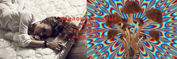 MDMA Premium VHQ Карпинск