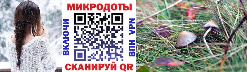 дарнет шоп Ижевск Псилоцибиновые грибы Psilocybe